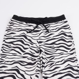 EVE Zebra Stripe Micro Flare Pants GPKJ-MR52425
