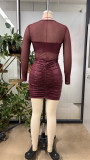 EVE Mesh See Through Long Sleeve Mini Dress GHYX-TJY8174