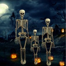 38 Inch Halloween Prop Full Size Skeleton