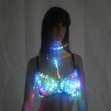 Sexy LED Bra Stage Bra Colorful Flash LED Glow Diamond Underwear for Singer Dance Punk Club Stage Wear