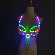 LED lights Bling Bling Mermaid Belly Dance Costume Set Women Belly Dance Bra Skirts Professional Outfit