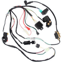 CDI Wiring Harness Loom Solenoid Rectifier for XR50 CRF50CC-110cc Pit Dirt Bike Electric Start Engine