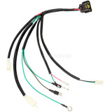 8 Pin Kick Start Wiring Wire Harness Loom for Lifan 150CC ZS 155cc Dirt Pit Bike