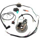Wiring Harness Loom Solenoid Coil Regulator CDI For 50-110cc ATV Quad Dirt Pit Bike Motorcycle Parts