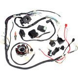Complete Electrics Wiring Harness Kit Ignition Coil Kits For Chinese Dirt Bike ATV QUAD 150-250 300CC