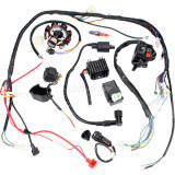 Complete Electrics Wiring Harness Kit Ignition Coil Kits For Chinese Dirt Bike ATV QUAD 150-250 300CC