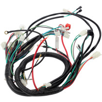 European Standard Engine Wiring Harness Wiring Loom For 150cc - 250cc PIT Trail Dirt Quad Bike ATV Go Kart Dune