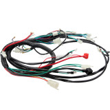 European Standard Engine Wiring Harness Wiring Loom For 150cc - 250cc PIT Trail Dirt Quad Bike ATV Go Kart Dune