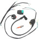 Foot Start Wire Harness Wiring Loom CDI Ignition Coil Replacement Wire Harness Kit Rebuild Kit for 50cc 70cc 90cc 110cc 125cc Stator CDI Coil Pit Dirt Bike