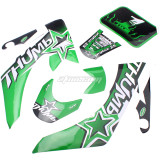 Decal Graphics Sticker Fairing Kit for CRF50 50-110CC PIT PRO Dirt Bike Thumpstar SSR TG010 Motorcycle - Green