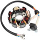 8-Coil Magneto Stator For Honda CB125 WY125 WY150 CB150 ATV Dirt Bike Go Kart/Cart Pit Bike 4 Wheeler Quad