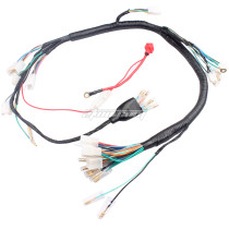 Engine Wiring Harness Wiring Loom For Honda ZJ125 CG125 Italika DT125 FT125 125CC Motorcycle