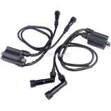 2 Pcs Ignition Coil & Caps For Honda CB650 CB750 CB900 CB1000 1979-1983 Goldwing 1100 1200 GL 1100 1200 Nighthawk 650 750