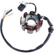 8-Coil Magneto Stator For Honda TMX 125 FOR MOTORCYCLE (9119-067)