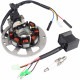 Magneto Stator Coil Ignition Box For Polaris Scrambler Predator 50 90 Sportsman 90 For ETON Lightning AXL-50/90 Viper RXL-50/70/90 Sierra DXL-90 Thunder TXL-50/90 0450523 0451000 2JA-81403-M0-00