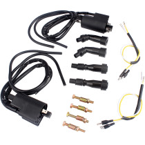 Ignition Coils For Suzuki GS 550 650 750 850 1000 1100 Bandit 1200 GSF1200 97-05 Katana GSX 600 750 1100 For Kawasaki KZ 550 650 700 750 LTD For Honda CB 400 500 550