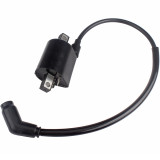 Ignition Coil For Buyang Feishen Linhai 260 260cc 300cc D300 G300 BY300 Gio Bear Daymak Grunt Midwest ZMC Titan Chironex Asun