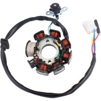 8-coil Ignition Stator Coil Fits for WAVE110 / WAVE100 WAVE100 B Motorcycle
