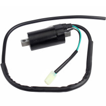 Ignition Coil For Honda RVT1000 RC51 2000-2006 Super Hawk 1000 VTR1000F 1998-2005 30501-MBB-641 30501-MBB-E30 30501-MCF-D30 30501-MCF-D31 30501-MCF-641 30501-MCF-E01