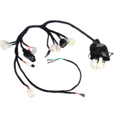 Full Main Wiring Harness Set Kit Fit for Surron Sur Ron LBX Light Bee X/S Segway X160 X260 Electric Bike Motorcycle