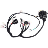Full Main Wiring Harness Set Kit Fit for Surron Sur Ron LBX Light Bee X/S Segway X160 X260 Electric Bike Motorcycle