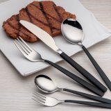 20-Piece Black Handle With Silver Mouth Flatware Set,Service for 4