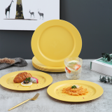 10 Inch Orange Plastic Plates 8 Pieces, Unbreakable And Reusable Light Weight Dinner Plates Microwave Safe BPA Free