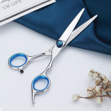 Stainless Steel Hair Cutting Shears Premium Shears, for Hair Cutting For Salon and Home Use
