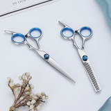 Stainless Steel Hair Cutting Shears and Thinning Shears 2 pieces set