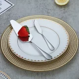 10 Pieces Stainless Steel Silver Titanium Plated Flatware Serving Set Silver Serving Silverware Set