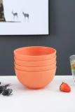 Berglander Cereal Bowls 4 Pieces, Reusable Light Weight Bowl For Rice Noodle Soup Snack Salad Fruit BPA Free