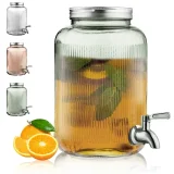 ReaNea Clear Glass Beverage Dispenser 1 Gallon with Lid and Stainless Steel Faucet