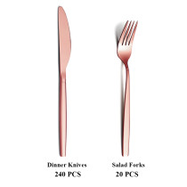 Dinner Knives Salad Forks 240 PCS 20 PCS
