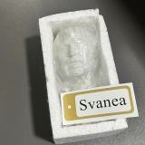Svanea Art Supplies Sketching Teaching Aids David Busts of Precious Metal, Works of Art of Precious Metal Sketch Set Decoration Sculpture Plaster Geometry