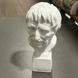 Svanea Art Supplies Sketching Teaching Aids David Busts of Precious Metal, Works of Art of Precious Metal Sketch Set Decoration Sculpture Plaster Geometry