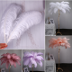 Kyraton Natural Ostrich Feathers for Wedding Party Centerpieces, Flower Arrangements and Home Decor.