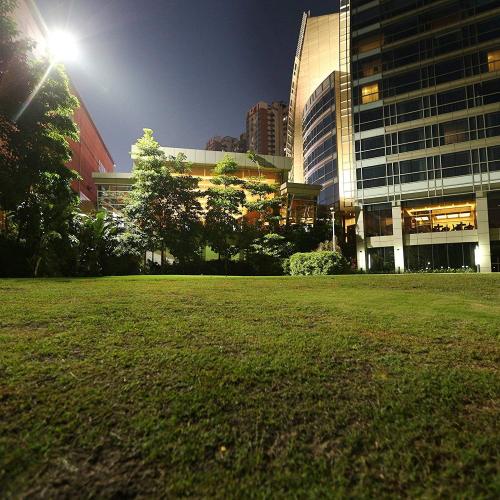 Outdoor Led Flood Lights Fixtures Arena Security Lighting Antlux