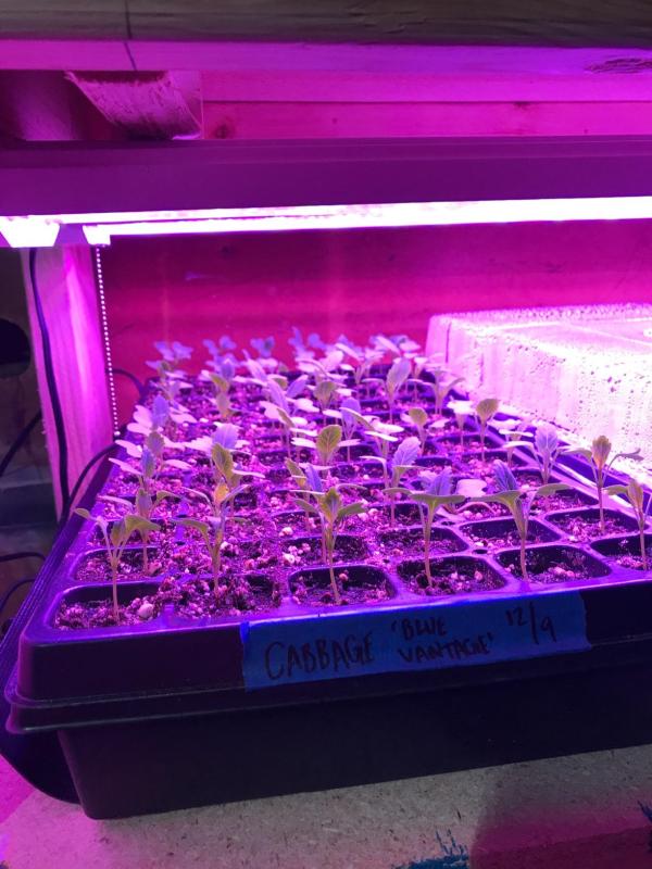 Antlux 4ft Led Grow Lights Full Spectrum Growing Lamp Fixtures