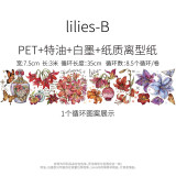 6月下発送【新七天】マスキングテープ liles
