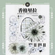 8月末発送【新七天】マスキングテープ 香格里拉 贝壳光