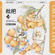 8月末発送【新七天】マスキングテープ 枇杷 贝壳光