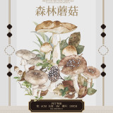 10月末発送【新七天】マスキングテープ 森林蘑菇