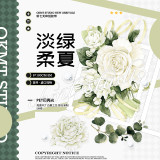 5月下発送【新七天】マスキングテープ 淡绿柔夏-PET贝壳光