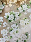 【壹洱】マステ 【茉莉花】轻复古和纸