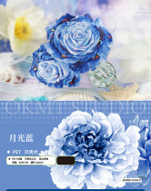 マステ  新七天  月光蓝-PET贝壳光-6cm*5m-100cm循环