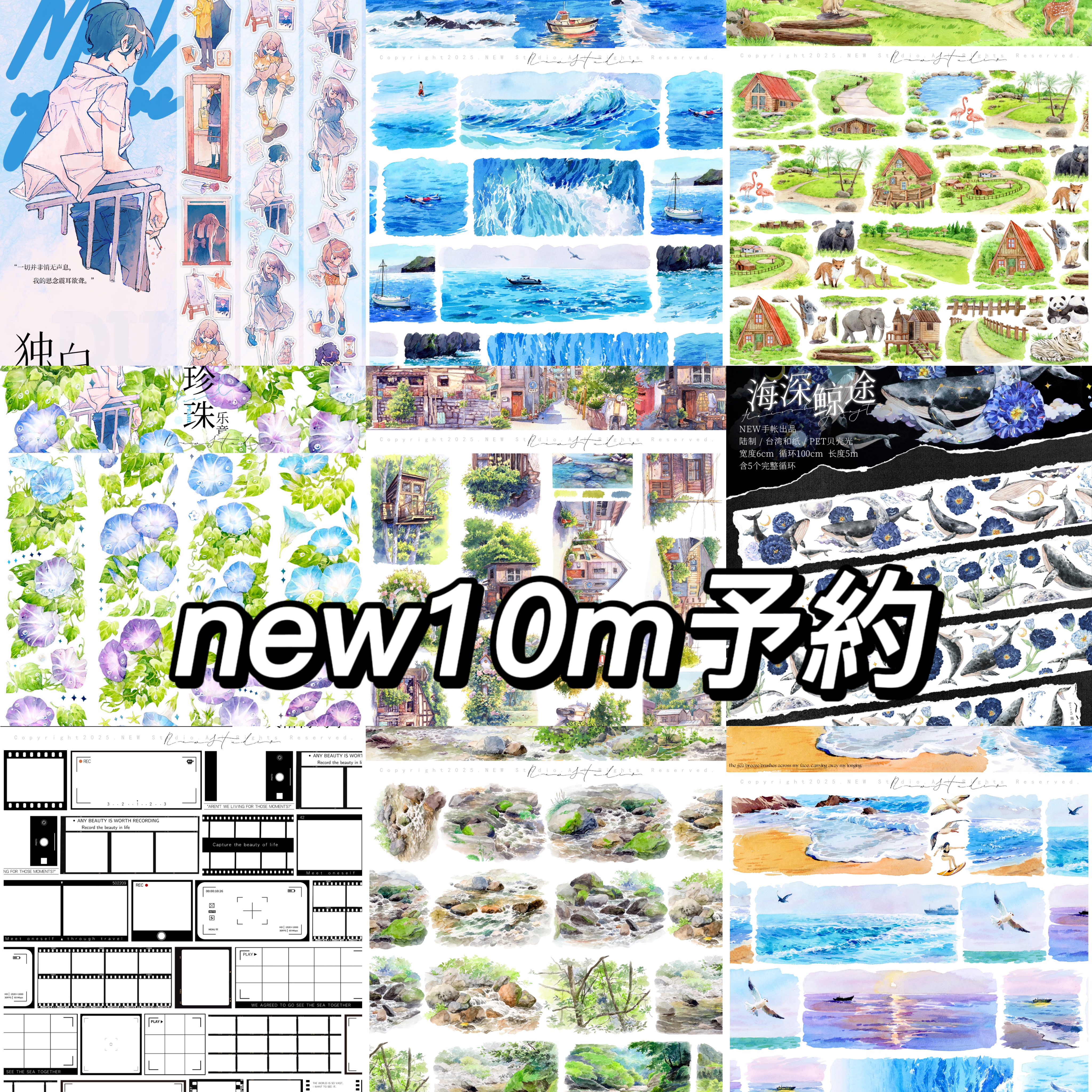 ✩のこり2✩J673＃猫の女郎(PET)y2k切り売り海外人物マステ