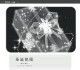 【BTY】マスキングテープ 圣诞氛围