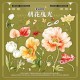 B 【wines】マステ maskingtape 朝花曳光 贝壳光