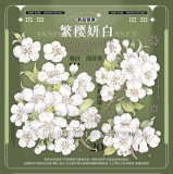 B【wines】 マステ 繁樱妍白 贝壳光
