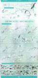 9.18〆【景物志】マスキングテープ maskingtape